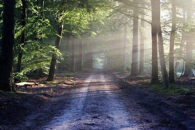 Healing Topics Blog